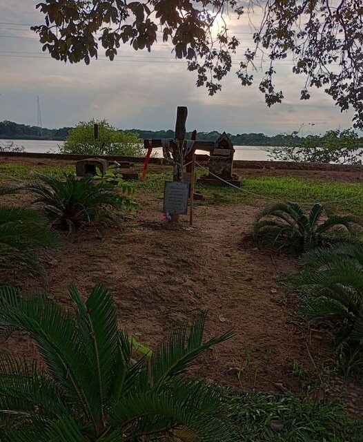 O Templo Vivo (Chico Machado)