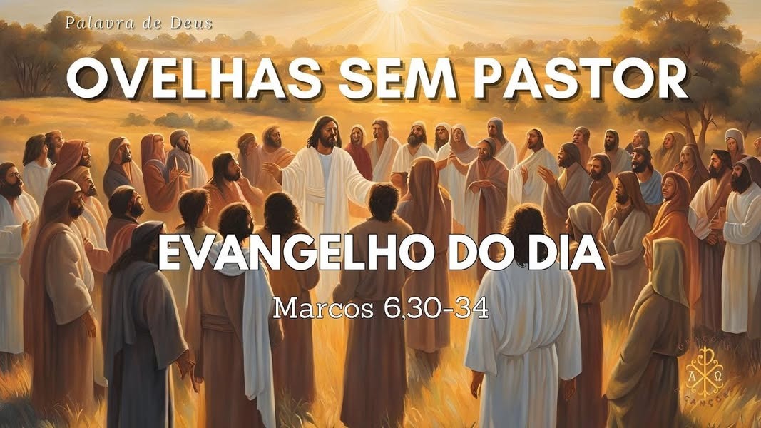 Ovelhas sem pastor (Chico Machado)